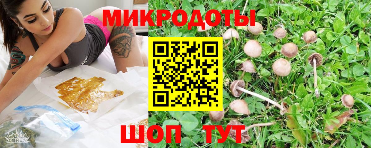 Псилоцибиновые грибы мицелий  Вход с VPN  Нижний Новгород 